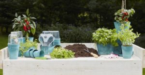 Easy gardening | Artstyone | kweken en oogsten | moestuin | tuininspiratie