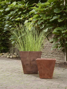 Winterharde potplanten | Winter terras | welke planten in winter | Plant in pot | Tuinplant | winterharde plant | Artstone | Artstone planter | Tuinieren | planten | planttips | Easy gardening | tuinblog | plantinfo