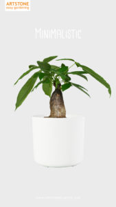 Bloempot Celine | Artstone planter | Artstone pot | Artstoneplanter | Bloempot met drainagesysteem | bloempot met waterfeesysteem | Hangpot | Eco bloempot | ecopot